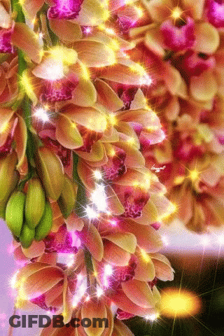 A Bunch Of Flowers Are Hanging From A Tree With Sparkles Coming Out Of Them GIF