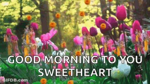 A Bunch Of Flowers In A Garden With The Words `` Good Morning To You Sweetheart '' Written On It . GIF