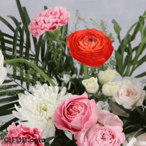 A Bunch Of Flowers With A Red Rose In The Middle GIF