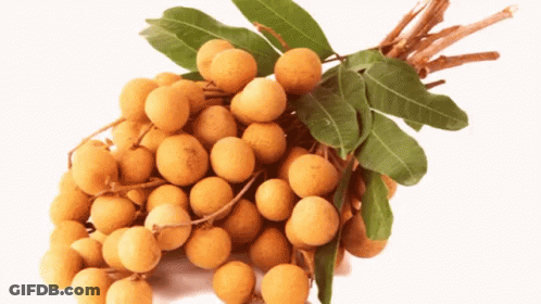 A Bunch Of Fruit With Leaves On A White Background GIF