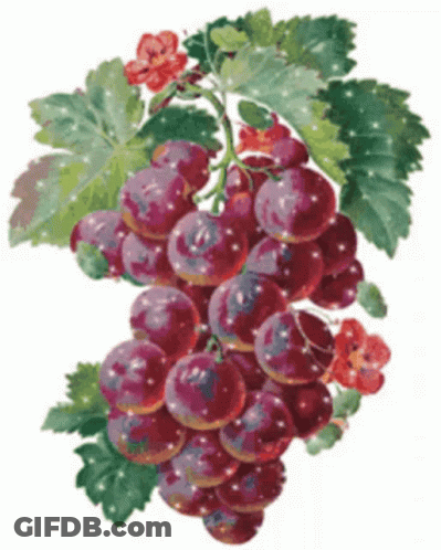 A Bunch Of Grapes With Leaves And Flowers On A White Background GIF