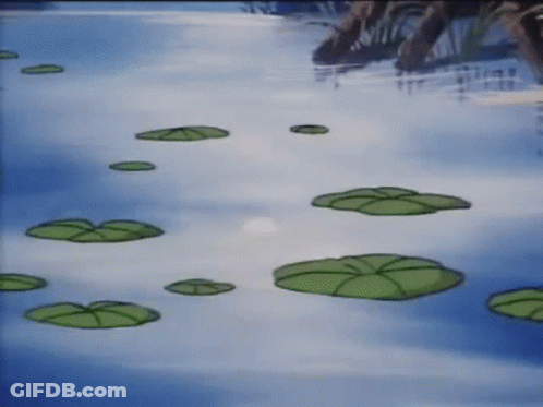 A Bunch Of Lily Pads Are Floating In A Pond . GIF