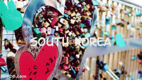 A Bunch Of Locks On A Wall With The Words South Korea GIF
