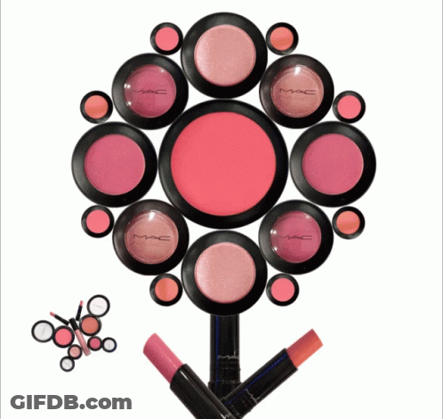 A Bunch Of Mac Cosmetics Are Arranged In A Flower Shape GIF