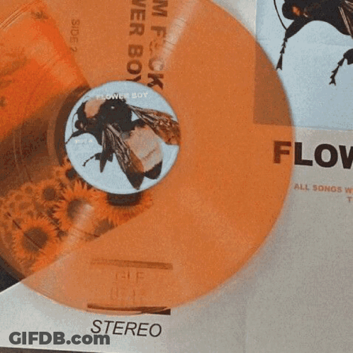 A Bunch Of Orange Flowers Are Sitting On A White Surface GIF