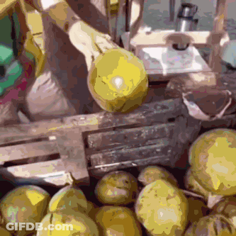 A Bunch Of Pears Are In A Wooden Crate GIF