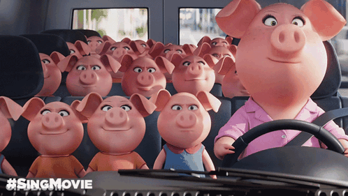 A Bunch Of Pigs Are Sitting In A Car With #Singmovie Written On It GIF