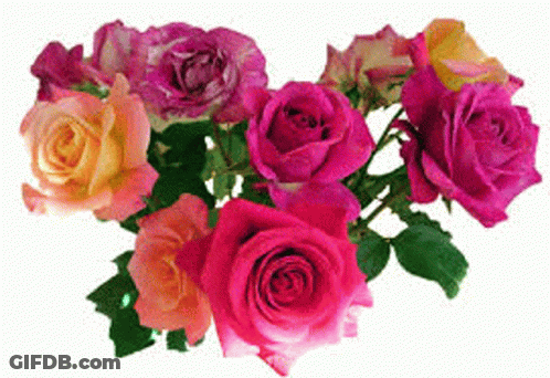 A Bunch Of Pink And Orange Roses With Green Leaves GIF