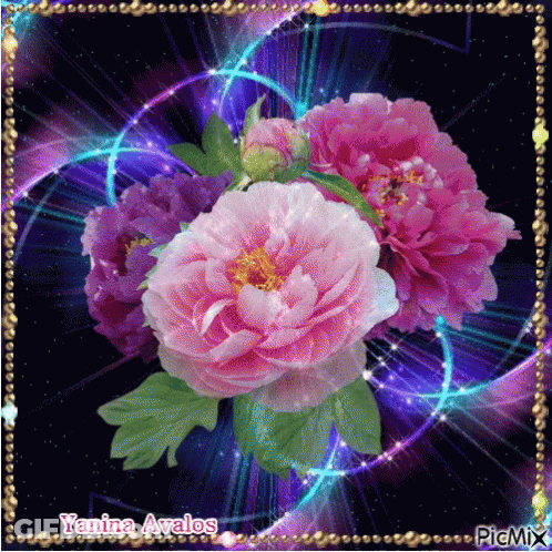 A Bunch Of Pink And Purple Flowers With Yanina Avalos Written On The Bottom GIF