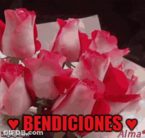 A Bunch Of Pink And Red Roses With The Words Bendiciones In Red GIF