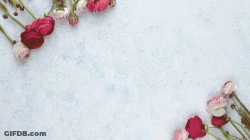 A Bunch Of Pink And White Flowers Are Surrounded By Pink Hearts GIF