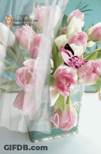 A Bunch Of Pink And White Flowers In A Vase With A Butterfly On It GIF