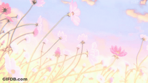 A Bunch Of Pink Flowers Against A Blue Sky With Nanzs Written On The Bottom GIF