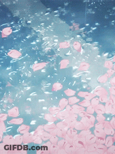 A Bunch Of Pink Flowers Are Floating In A Body Of Water GIF