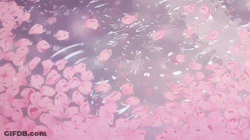 A Bunch Of Pink Flowers Are Floating In The Water . GIF