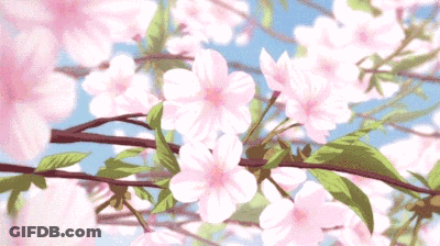 A Bunch Of Pink Flowers Are Growing On A Tree Branch GIF