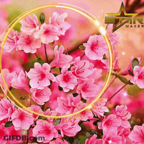 A Bunch Of Pink Flowers Are Surrounded By A Yellow Circle That Says Star Mark GIF