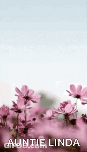 A Bunch Of Pink Flowers With The Words `` Auntie Linda '' On The Bottom . GIF