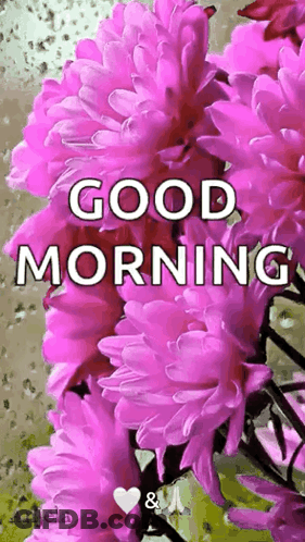A Bunch Of Pink Flowers With The Words Good Morning GIF