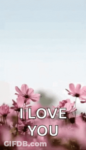 A Bunch Of Pink Flowers With The Words `` I Love You '' Written On It . GIF