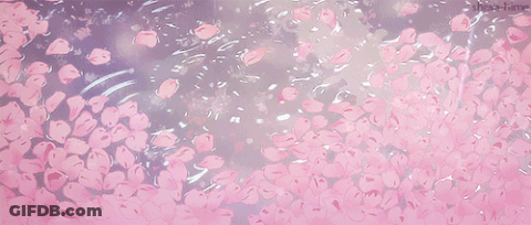 A Bunch Of Pink Petals Are Floating In A Pool Of Water GIF