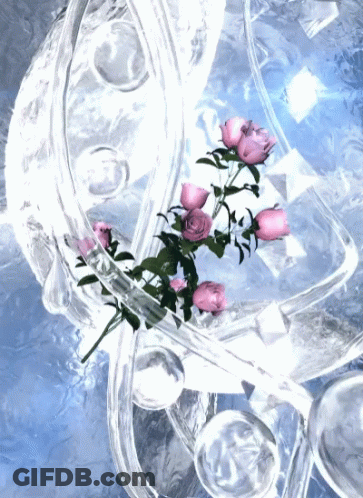 A Bunch Of Pink Roses Are Floating In A Glass GIF