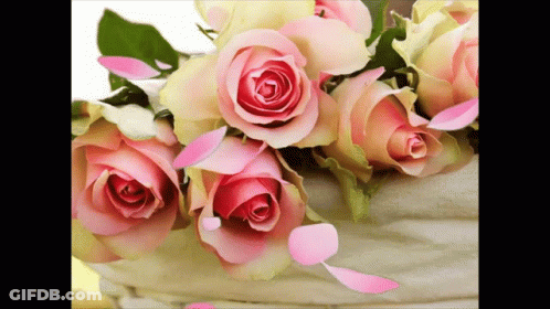 A Bunch Of Pink Roses Are In A Basket GIF