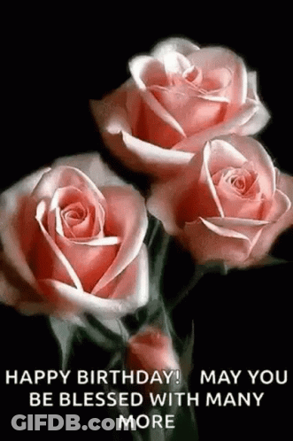 A Bunch Of Pink Roses On A Black Background With The Words `` Happy Birthday ! May You Be Blessed With Many More '' GIF