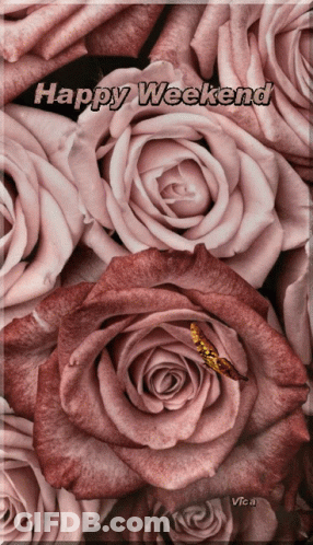 A Bunch Of Pink Roses With The Words Happy Weekend Written Above Them GIF