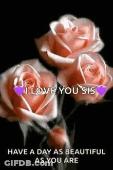 A Bunch Of Pink Roses With The Words `` I Love You Sis '' Written On Them GIF