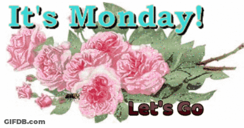 A Bunch Of Pink Roses With The Words It 'S Monday Let 'S Go Below Them GIF
