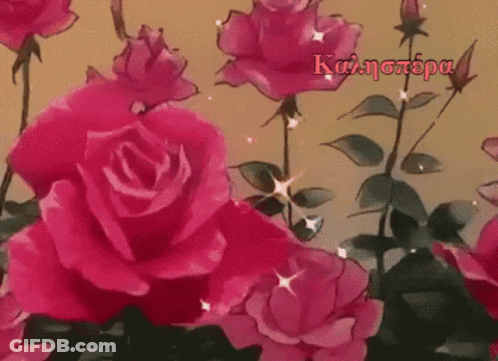 A Bunch Of Pink Roses With The Words Καλησπερα In The Upper Right GIF
