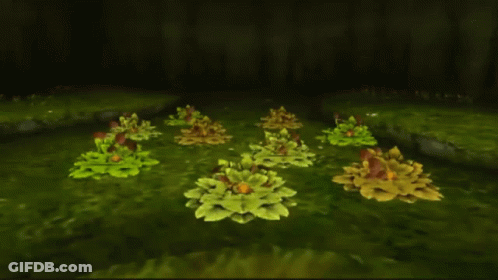 A Bunch Of Plants With Holes In Them Are Sitting In The Grass GIF