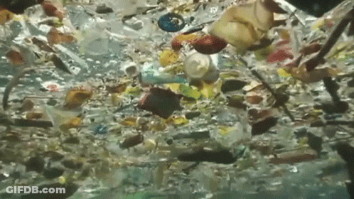 A Bunch Of Plastic Bottles Are Floating In The Ocean . GIF