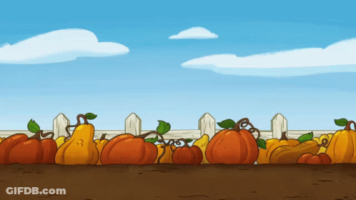 A Bunch Of Pumpkins And Pears In Front Of A Fence GIF