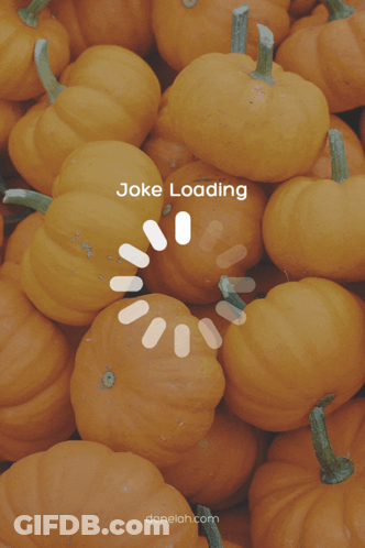 A Bunch Of Pumpkins Are Stacked On Top Of Each Other With A White Rectangle In The Middle GIF