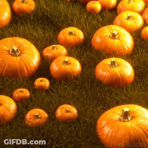 A Bunch Of Pumpkins In The Grass With Pi-Slices In The Corner GIF