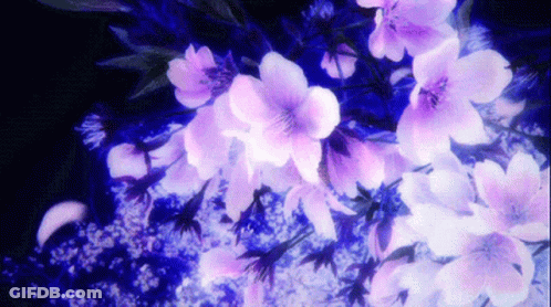 A Bunch Of Purple And White Flowers On A Black Background GIF