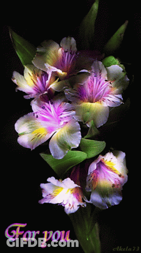 A Bunch Of Purple And White Flowers With The Words For You On The Bottom GIF
