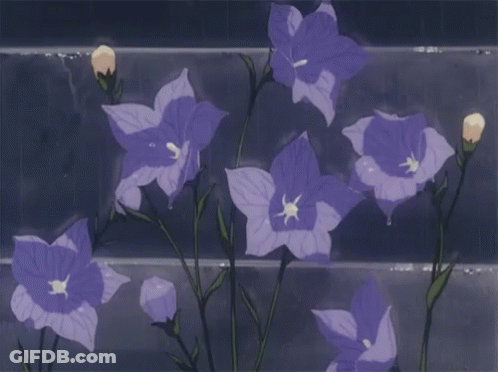 A Bunch Of Purple Flowers Are Growing On A Fence In The Rain . GIF