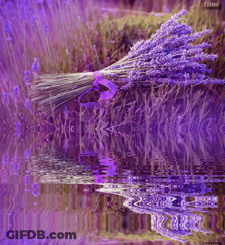 A Bunch Of Purple Flowers Are Reflected In A Body Of Water With A Watermark That Says Eszter GIF