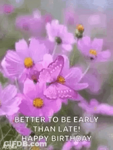 A Bunch Of Purple Flowers With A Butterfly On Them . GIF