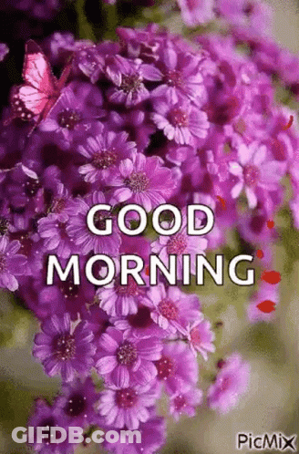 A Bunch Of Purple Flowers With A Butterfly On Top Of Them And The Words `` Good Morning '' . GIF