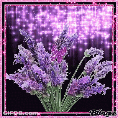 A Bunch Of Purple Flowers With A Pink Butterfly On Top GIF