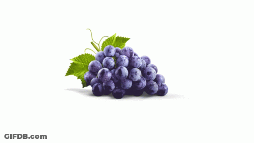 A Bunch Of Purple Grapes With A Green Leaf On A White Background GIF