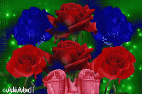 A Bunch Of Red And Blue Roses With The Name Aliabdi On The Bottom GIF