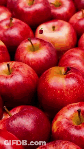 A Bunch Of Red Apples Sitting Next To Each Other On A Table . GIF