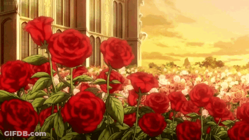 A Bunch Of Red Roses Are Growing In Front Of A Building GIF