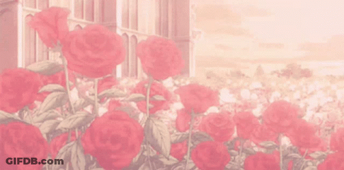 A Bunch Of Red Roses In A Field With A Building In The Background . GIF