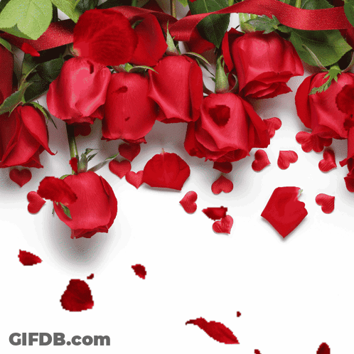 A Bunch Of Red Roses With Petals In The Shape Of Hearts GIF